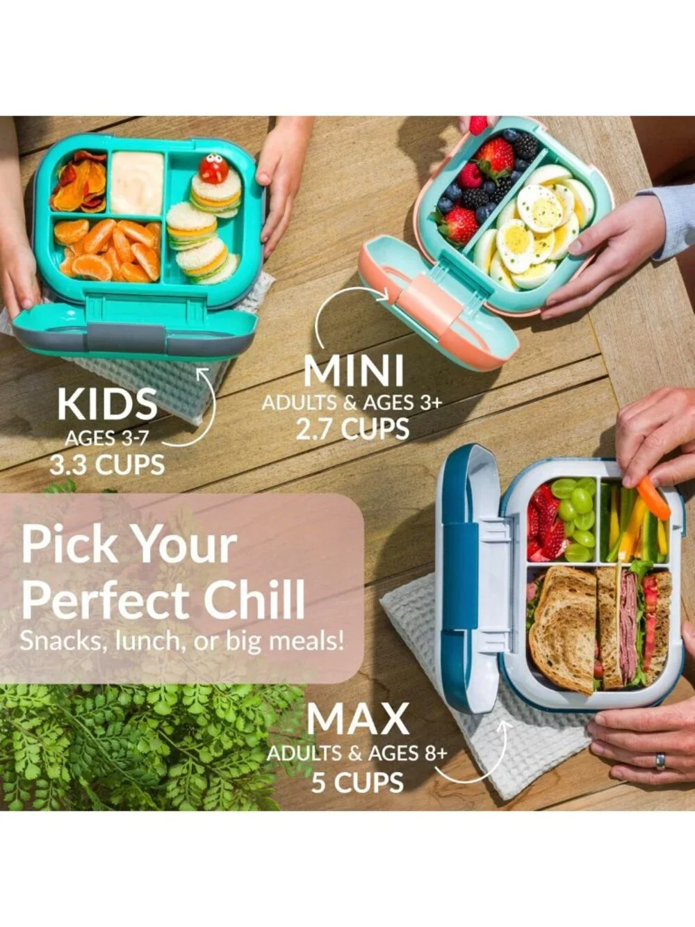Leak-Proof XL Bento Lunch Box - 3 or 4 Compartment, Perfect for Meal Prep